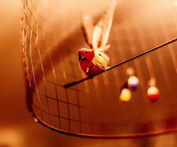 Maison Marais * Paris