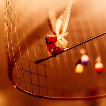 Maison Marais * パリ